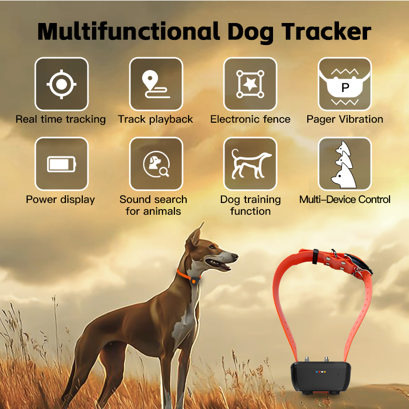 Special WiFi Waterproof GPS Do - đánh giá và giá Smart Home For Pc