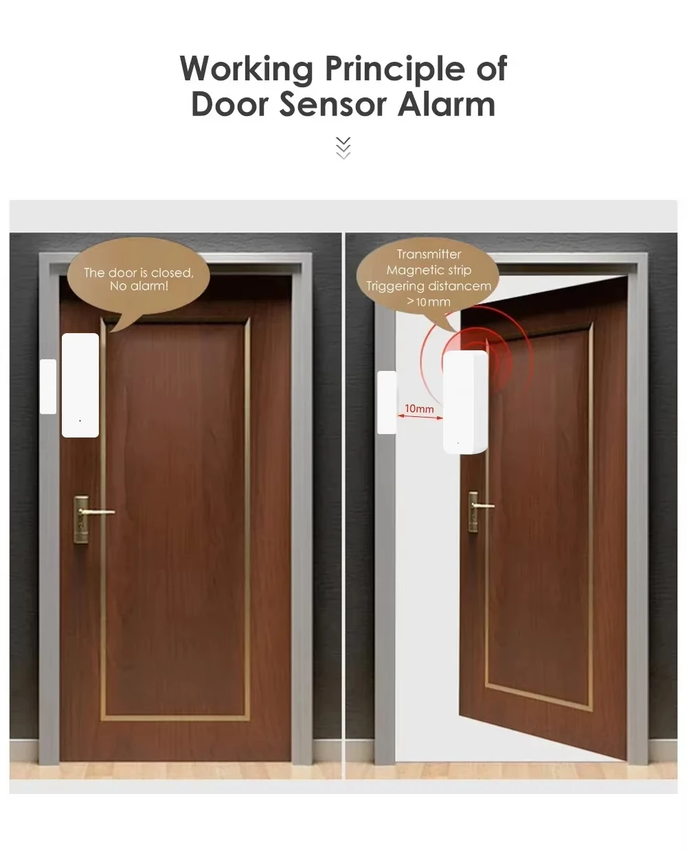Tuya Zigbee/WiFi Magnetic Door - đánh giá và giá Door Window Sensor