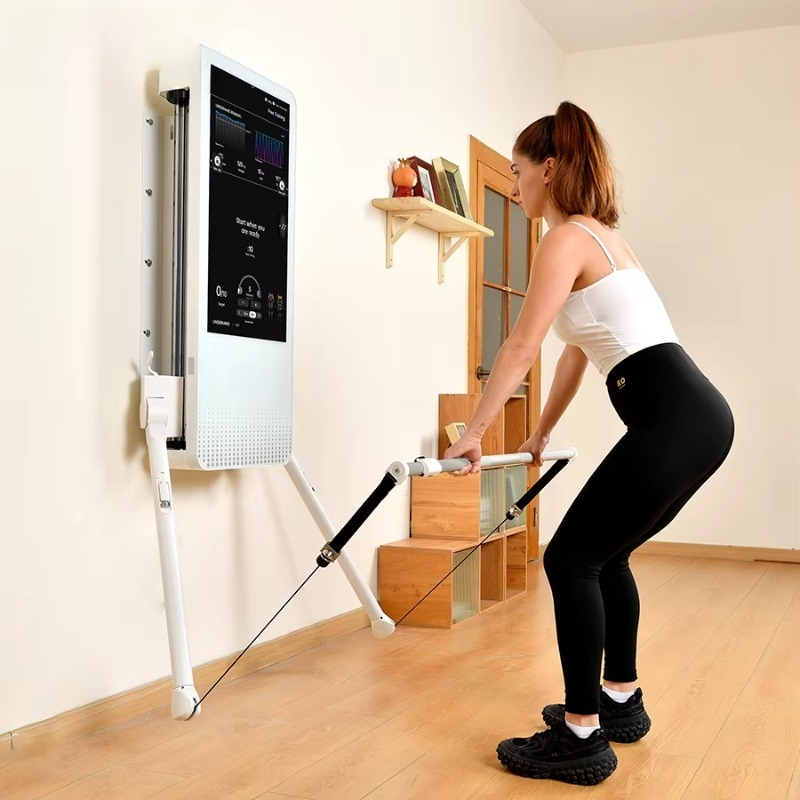 Multifunctional Home Fitness E - đánh giá và giá Smart Home Gym