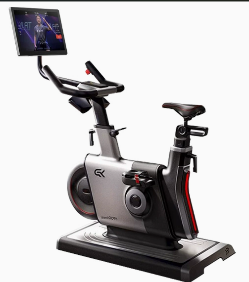 Steel for Bike LCD Display Mag - đánh giá và giá Smart Home Display