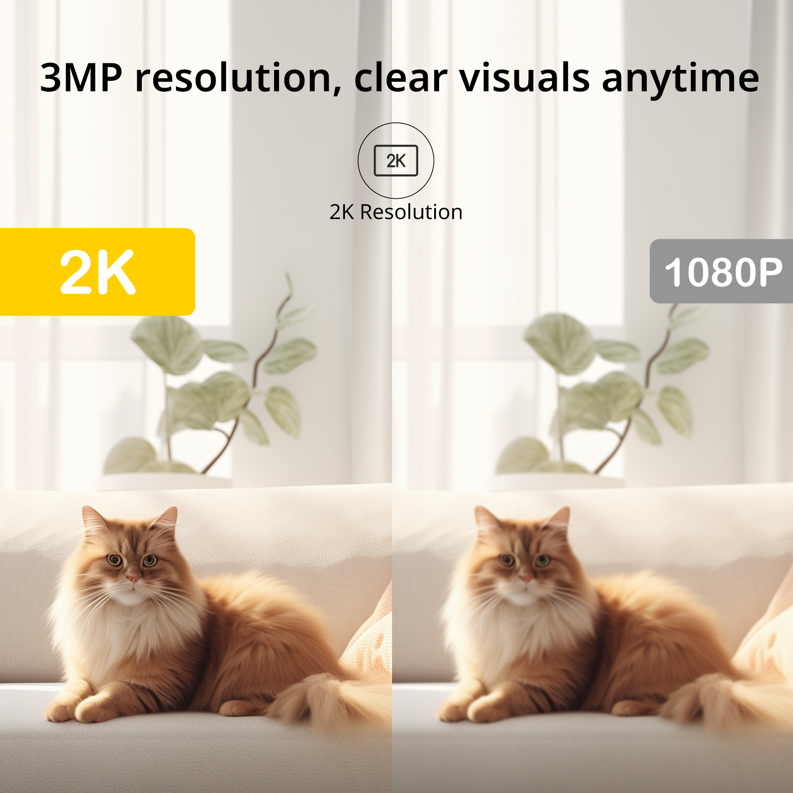 BoyKeep Surveillance Camera 3M - đánh giá và giá Smart Home Ezviz